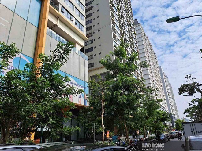 Giá chung cư điều chỉnh nhưng khó giảm sâu