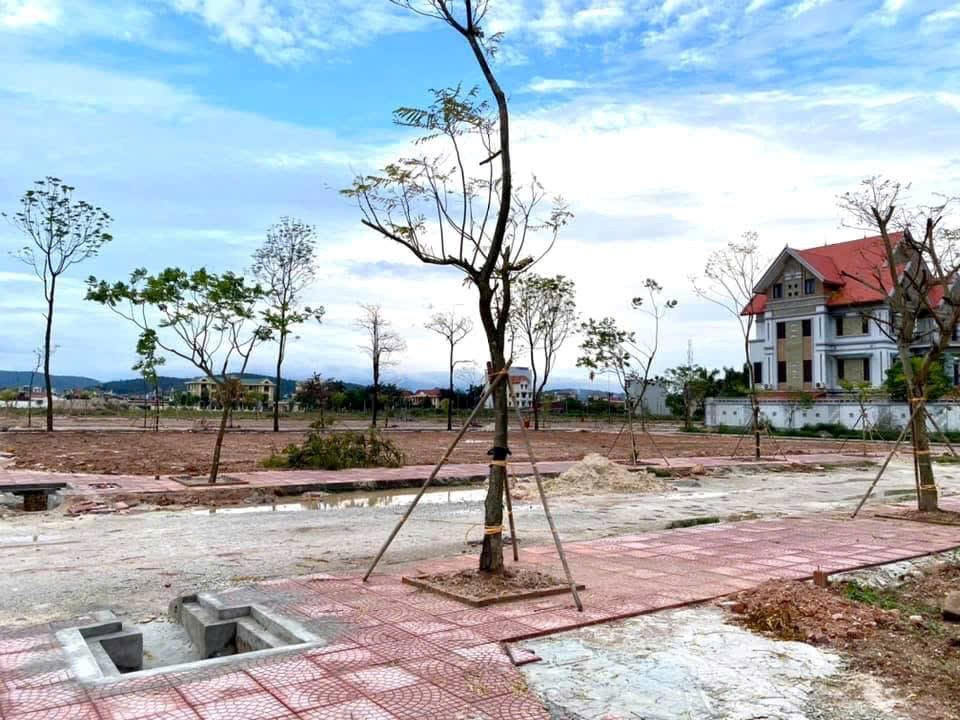 Thị trường đất đấu giá phân hóa: Nơi giảm sâu 30%, nơi ngược dòng giữ sóng