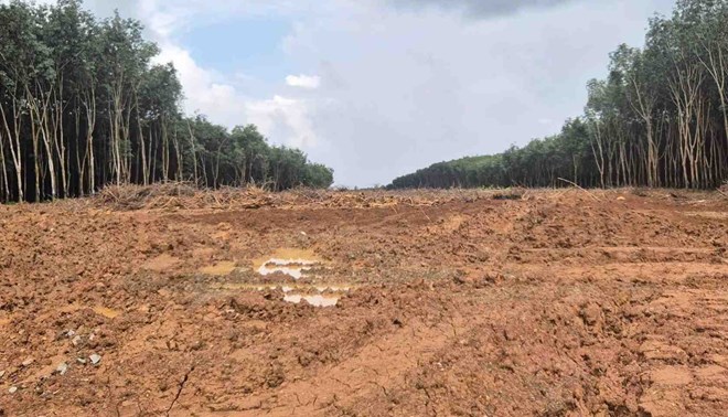 Thu hồi đất 112 ha của 133 hộ gia đình ở xã Thọ Sơn để làm cao tốc