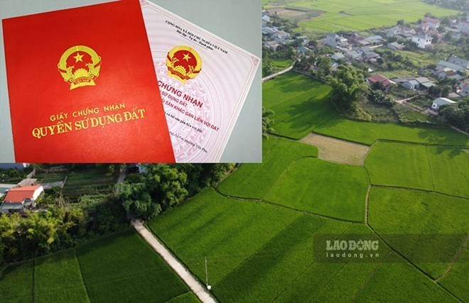 Phê duyệt đấu giá 9 thửa đất dịch vụ, thương mại tại Lai Châu