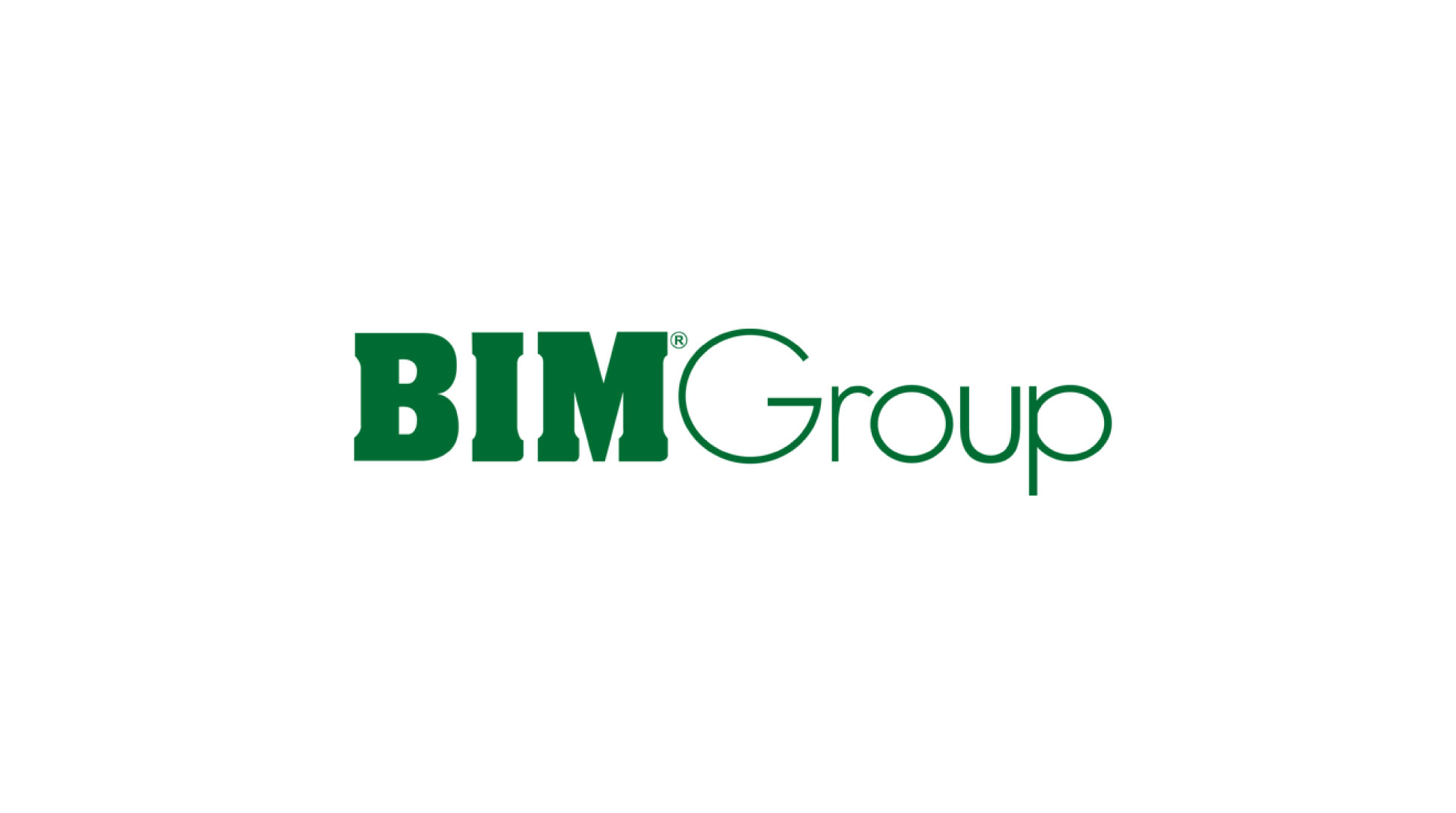 BIM GROUP