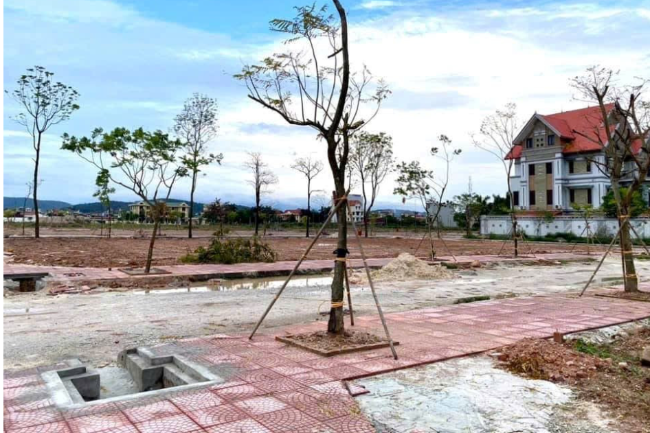 Thị trường đất đấu giá phân hóa: Nơi giảm sâu 30%, nơi ngược dòng giữ sóng