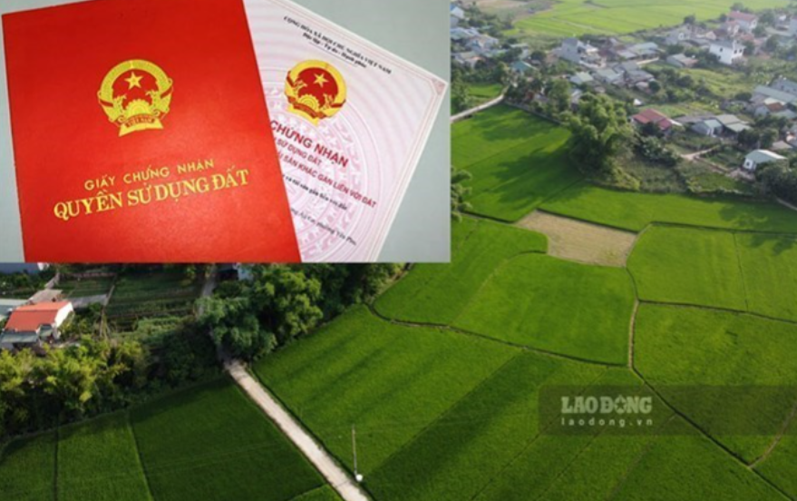 Phê duyệt đấu giá 9 thửa đất dịch vụ, thương mại tại Lai Châu