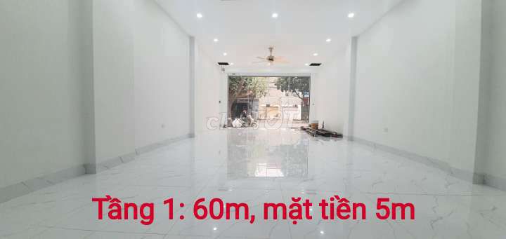 -2737.jpg
