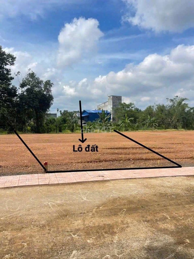 -3525.jpg
