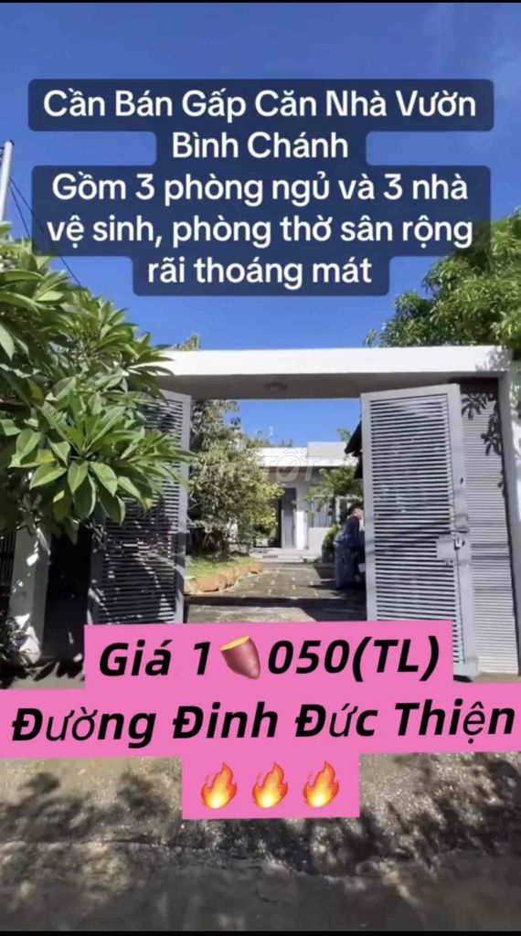 c92033221a1cc0c5993d8d2d1ea14c10-2949272589550089171.jpg