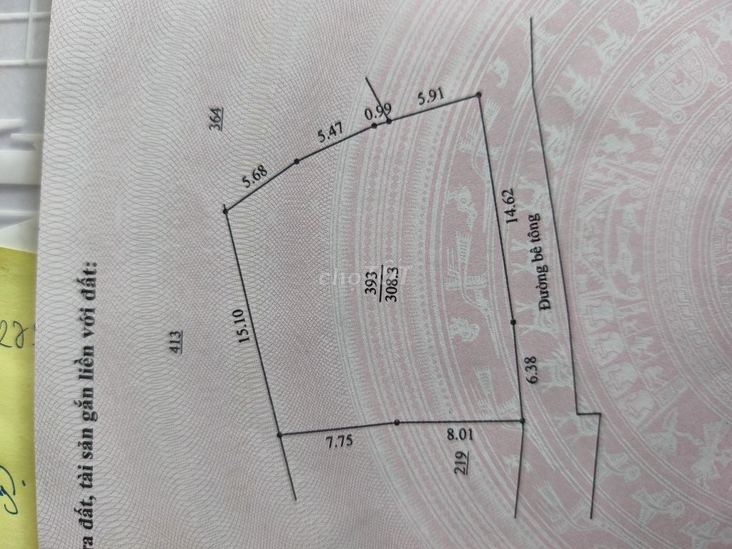 -1565.jpg