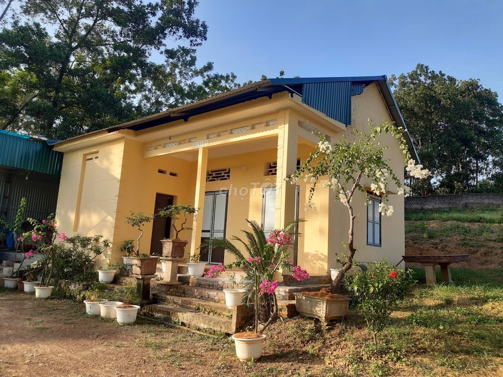 CẦN BÁN NHÀ VƯỜN 2193m² CHÍNH CHỦ - BA VÌ, HÀ NỘI