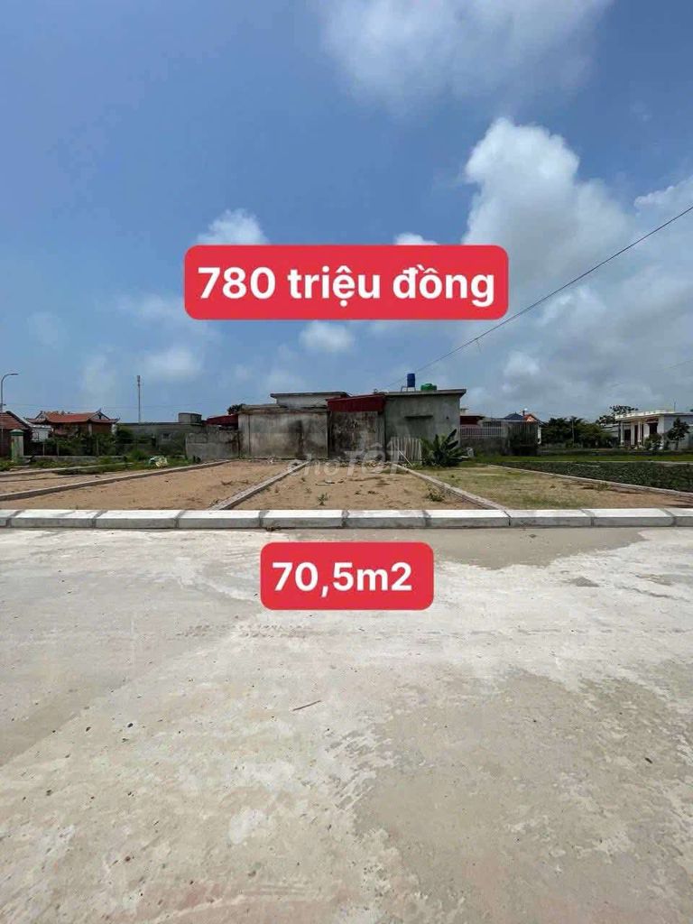 -3572.jpg