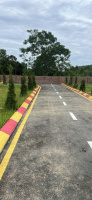 Chỉ 500 triệu sở hữu đất thổ cư 65,1m2 - Trung tâm thị trấn Ba Hàng Đồi - Sổ đỏ riêng