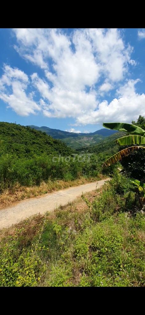 Gần 2000m2 rẫy Mặt tiền Bắc Nha Trang – view núi, suối tự nhiên – ôtô