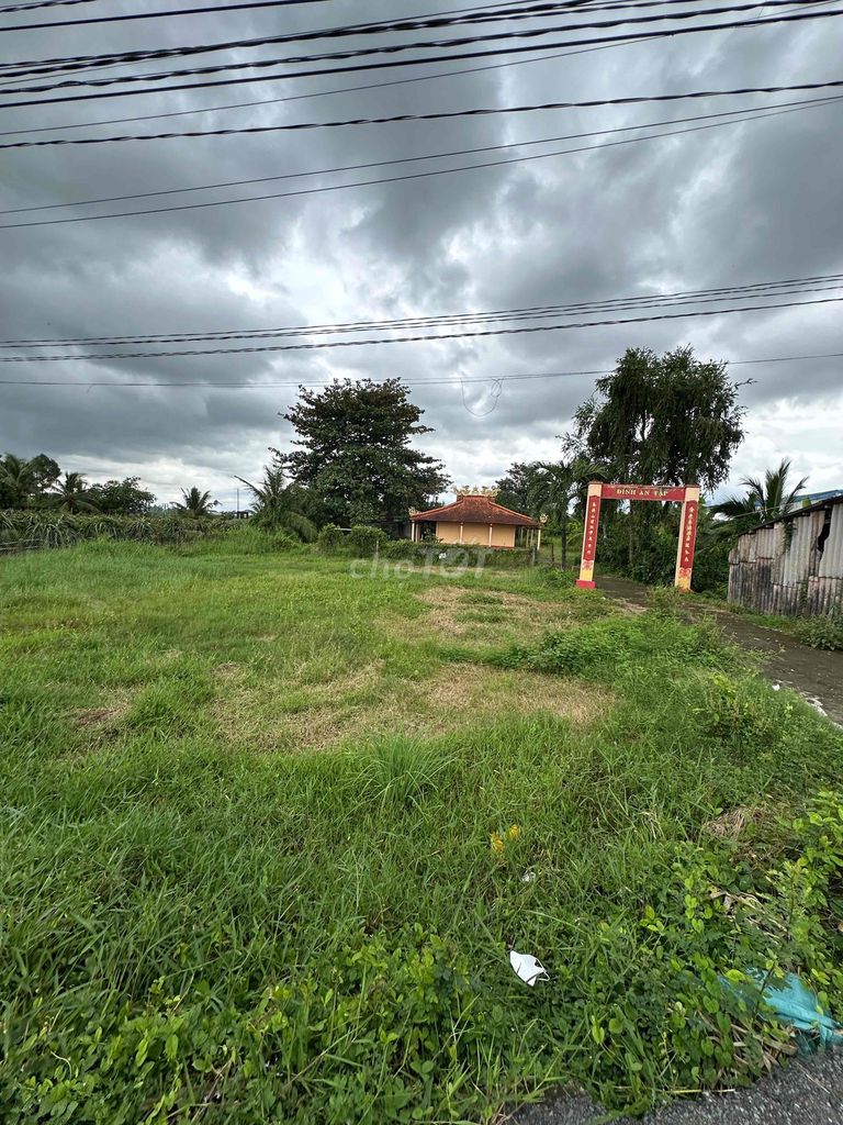 Bán đất thổ cư Châu Thành, Long An